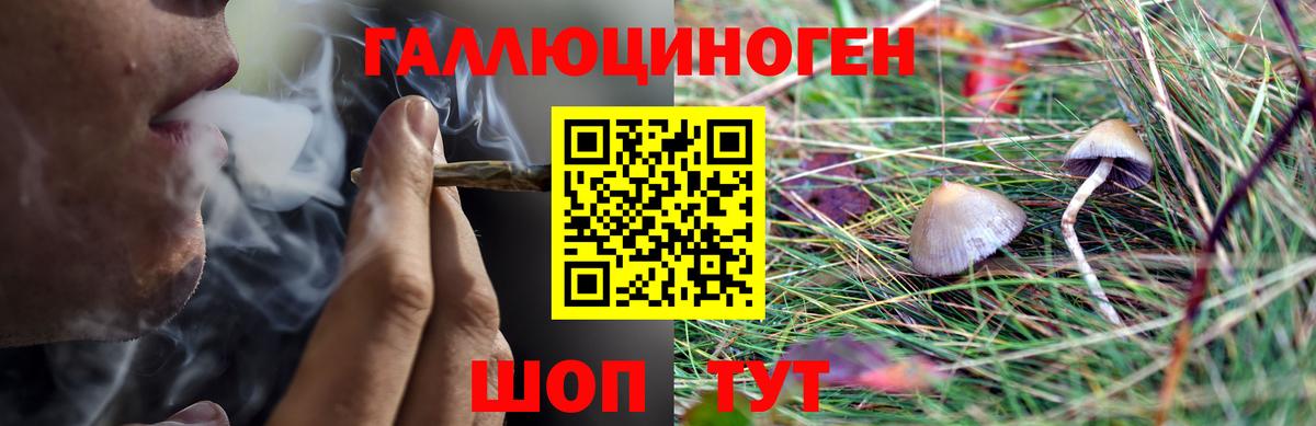 Псилоцибиновые грибы Psilocybine cubensis  Псилоцибиновые грибы Psilocybe  Вход с VPN  Сыктывкар 